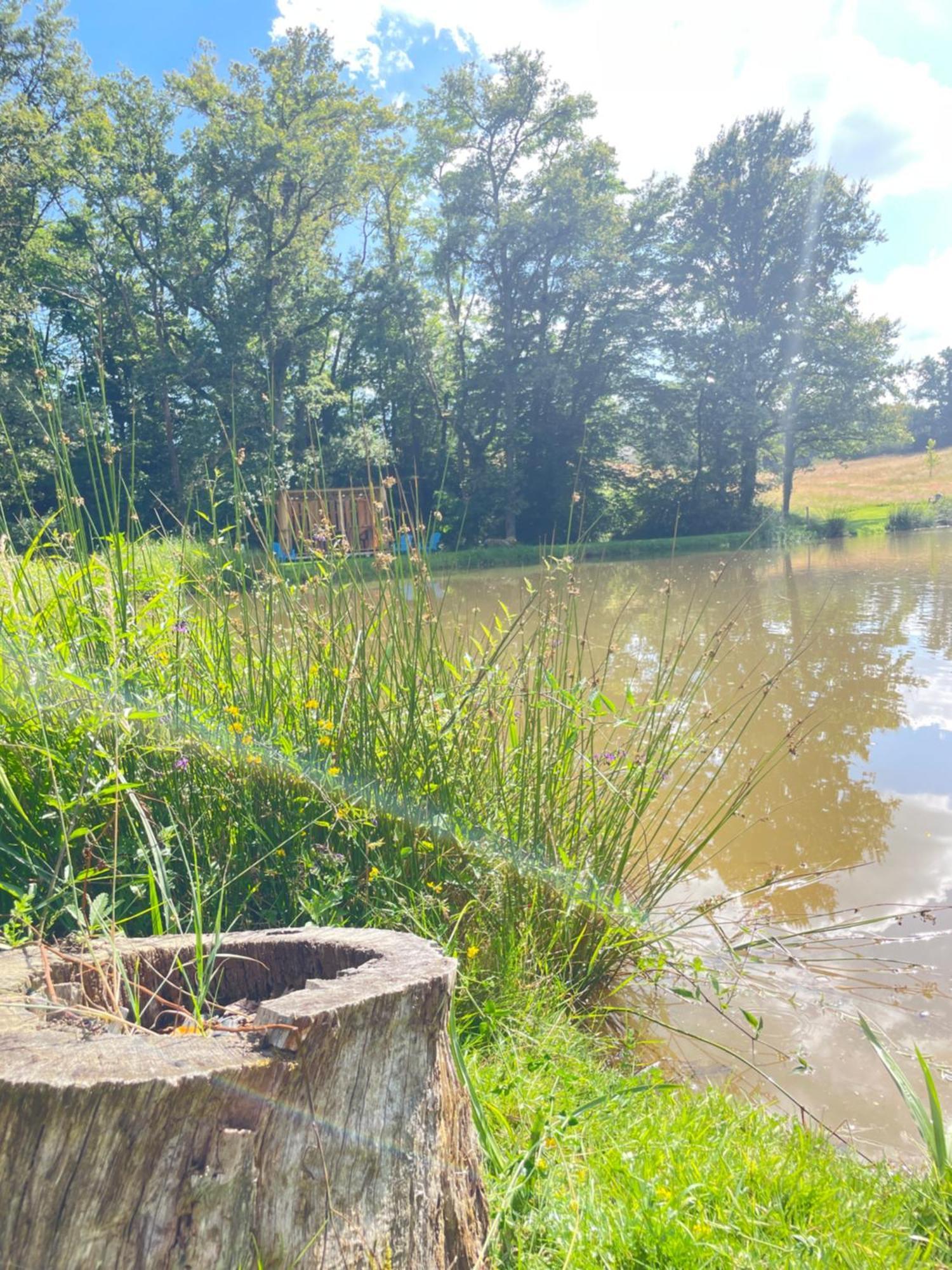 Gite Neuf Avec Jardin, Foret Et Etang Argenton Sur Creuse Extérieur photo